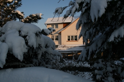Winter in Lehndorf_12